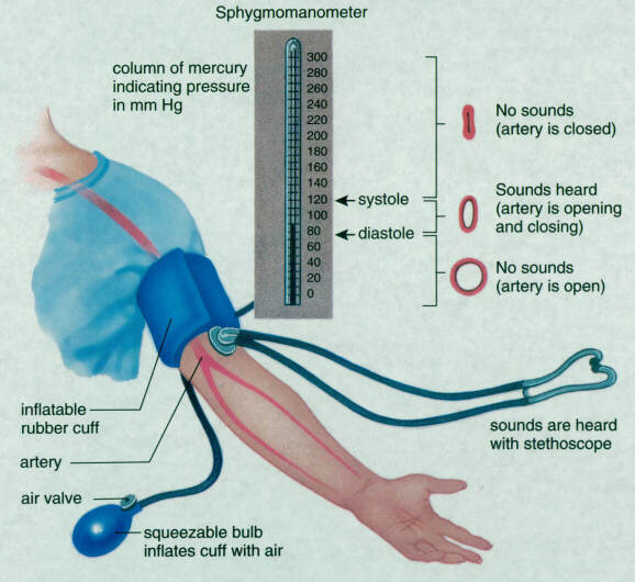 how-to-have-low-pressure-Eugenia-Hargrove-Age-of-Grace-3