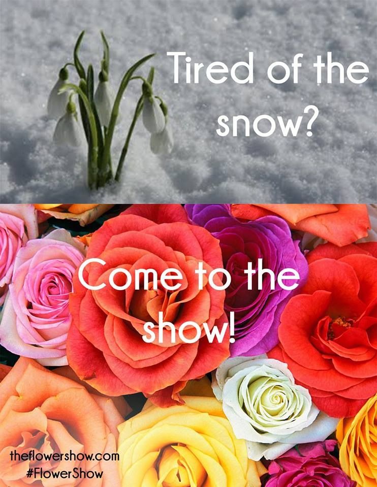 Image Credit: Ad for 2014 Flower Show