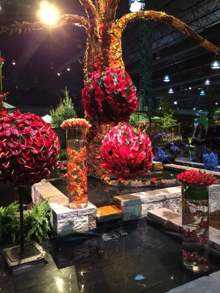 Voted as The People's Choice Award: Flowers by David, Langhorne, PA