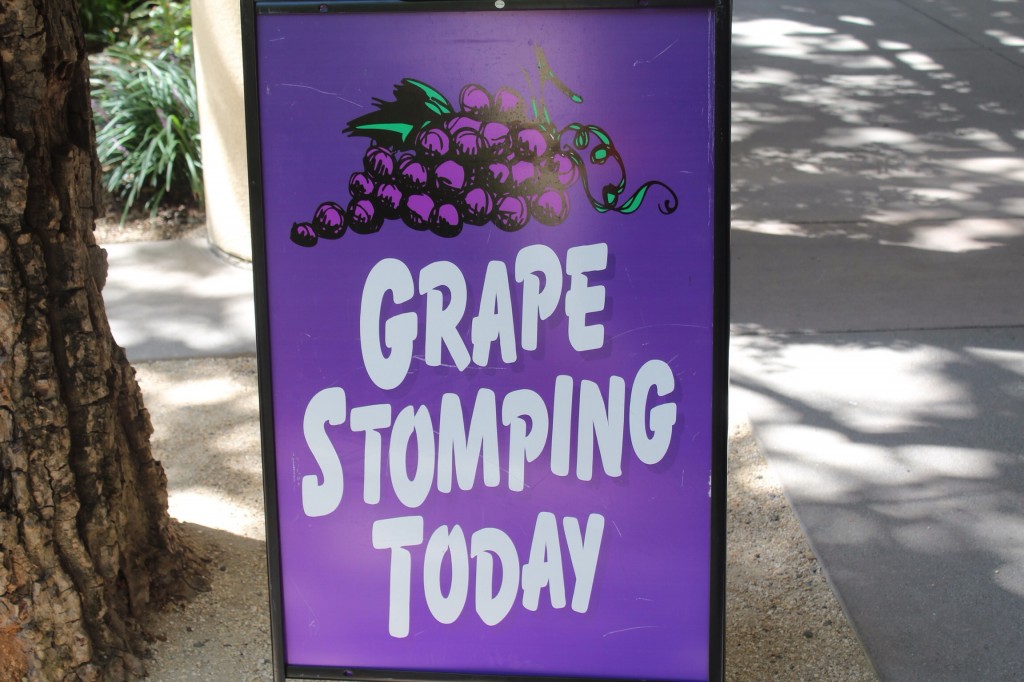 Grape Stomping sign at Sterling Vineyards