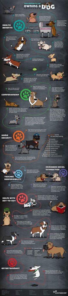 Photo Credit: The Dog Training Secret The Benefits of Owning a Dog