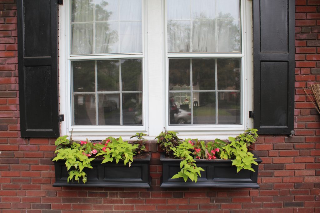 New View: Up close on the new window boxes