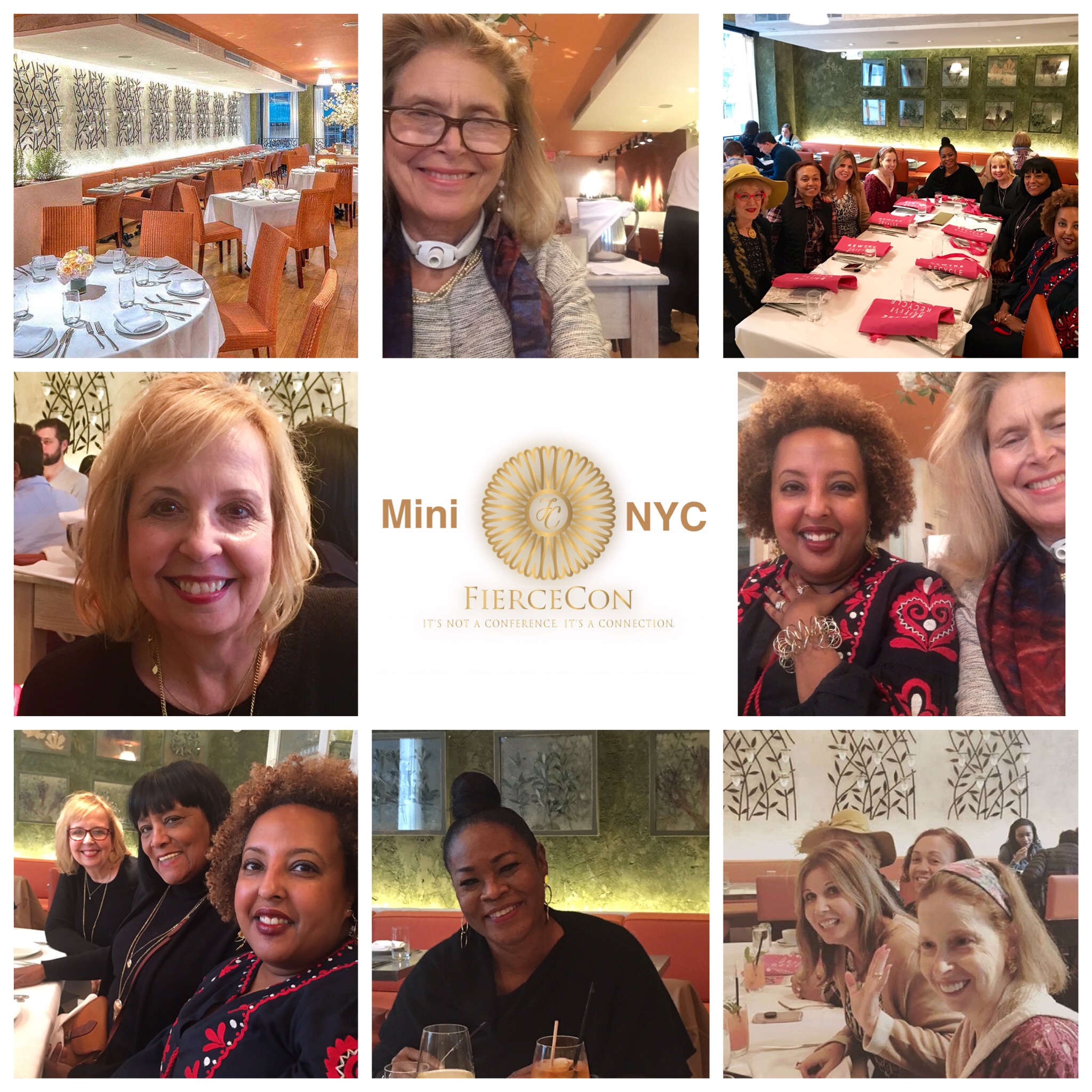 Mini Fierce Con NYC Grid of attendees