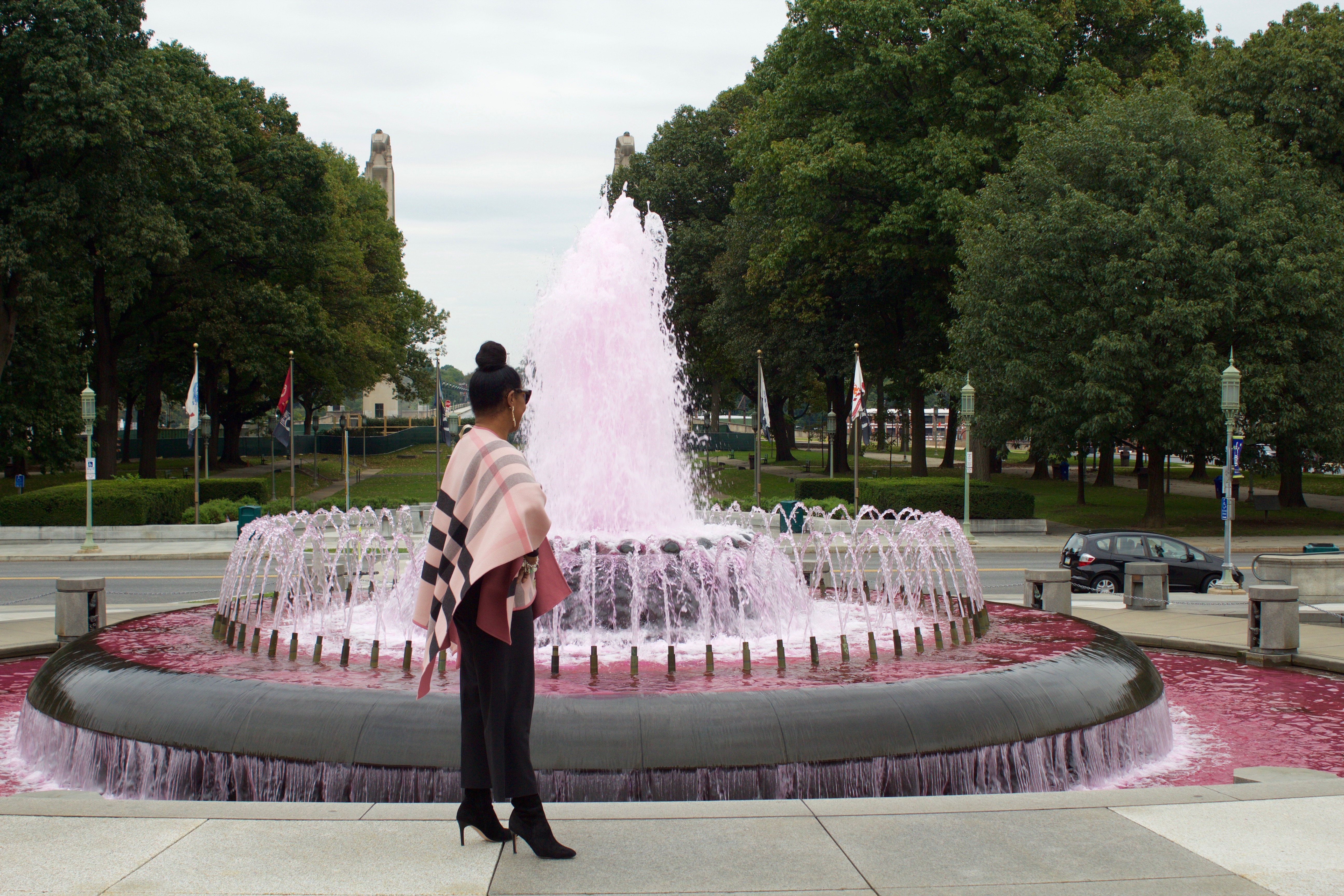 Annual Breast Cancer Awareness Photo at PA State Capital Complex
