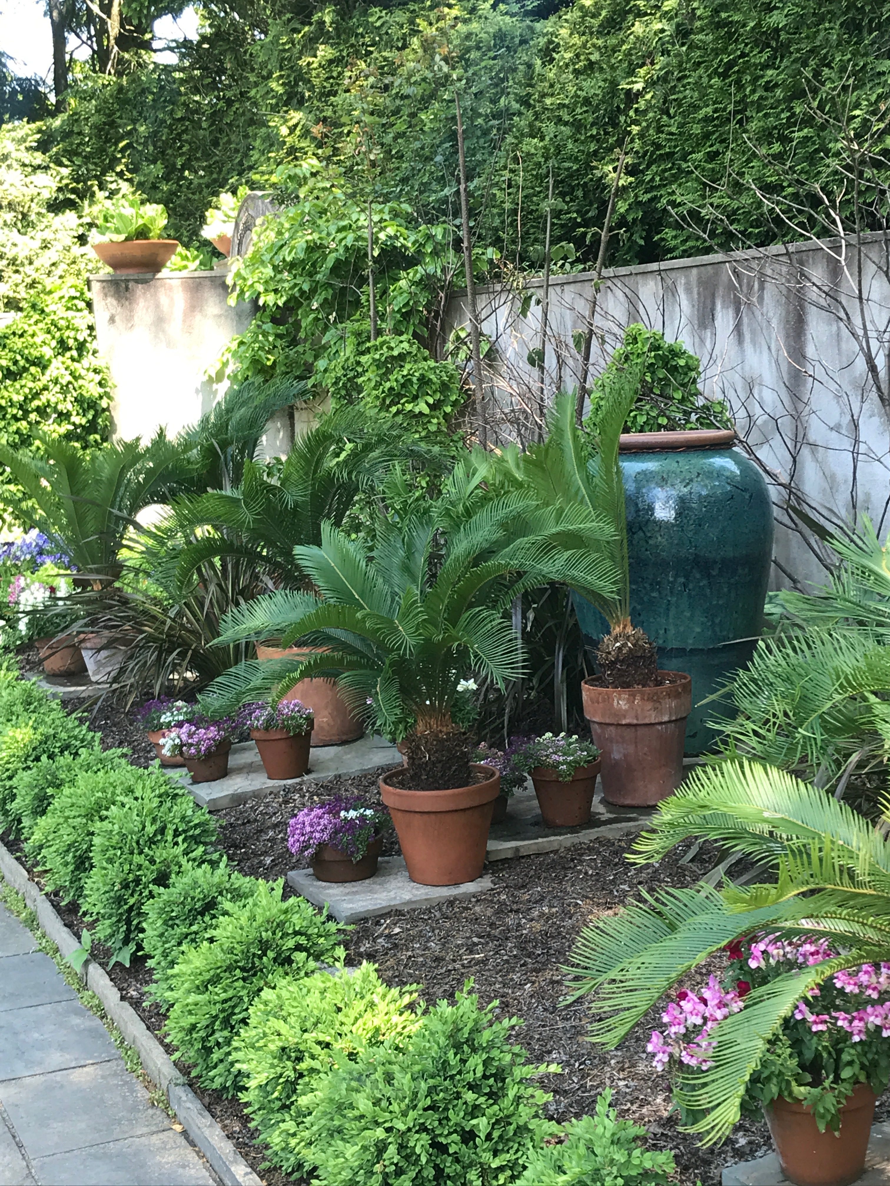 Chanticleer Gardens Courtyard and Container Gardening