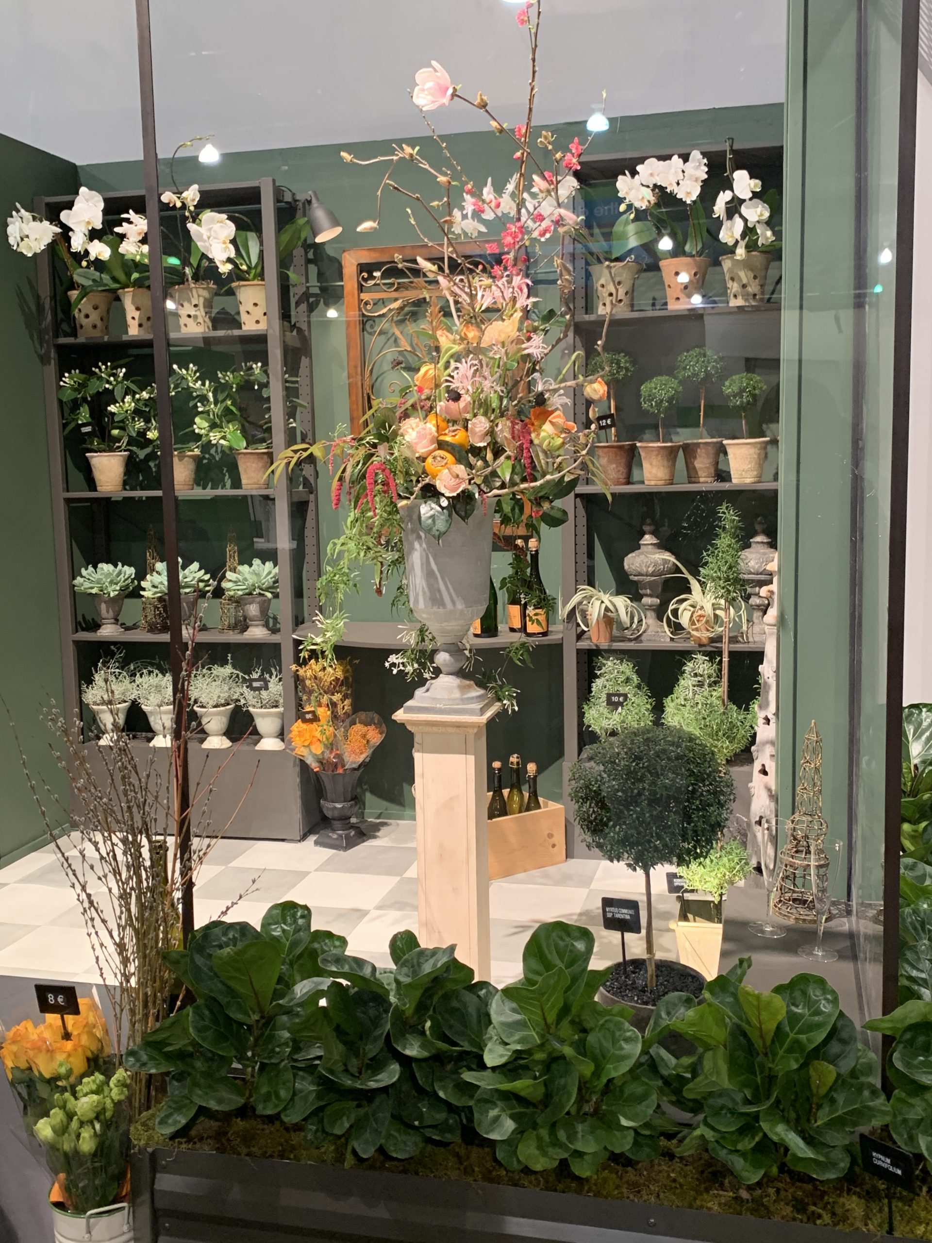 Mediterranean Floral Shoppe at the 2020 Philly Flower Show