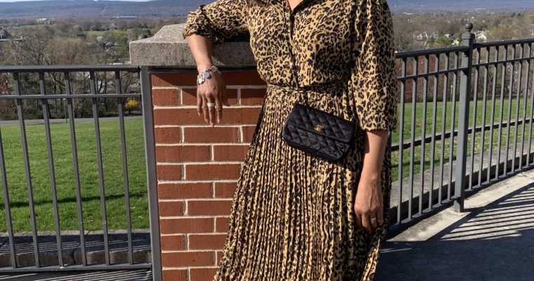 Leopard Print Dress with Pleated Skirt