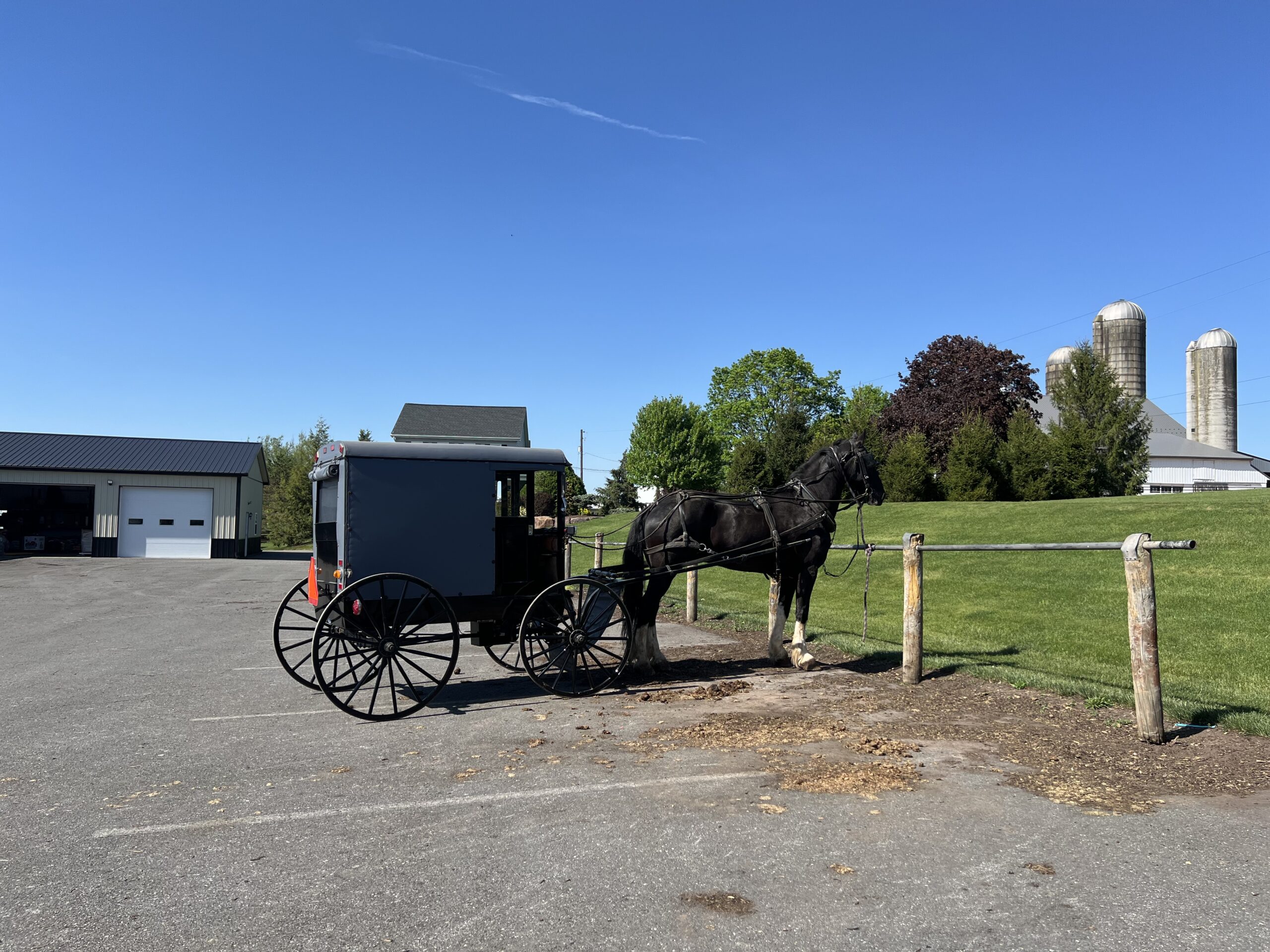 Amish Buggy at Blackcreek in East Earl, PA