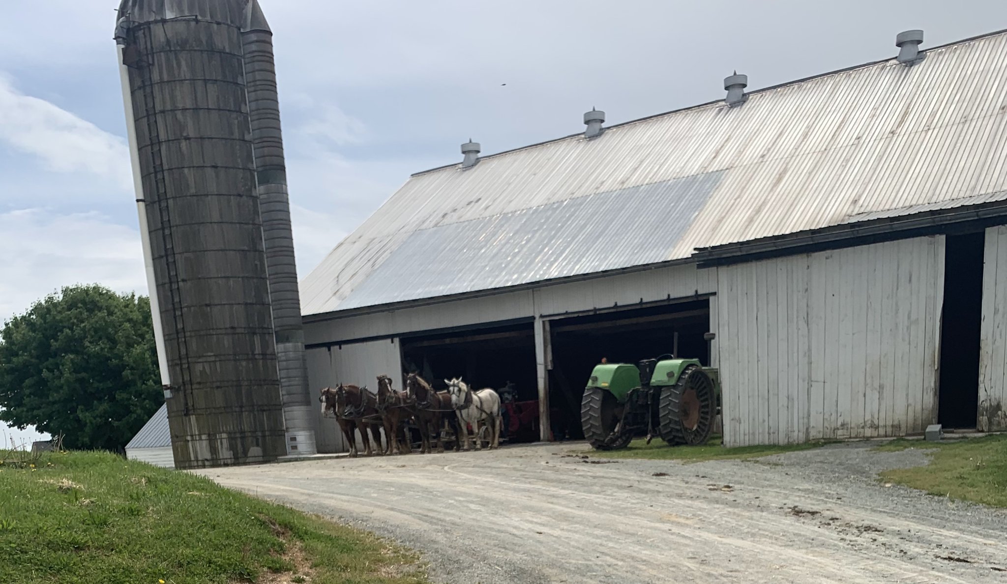 Stoltzfus Amish Farm in Kirkwood