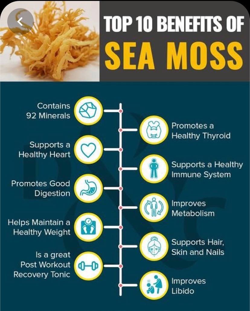 Pinterest Top 10 Benefits of Sea Moss