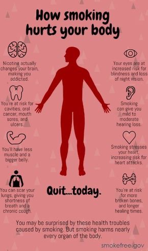 Smoking Hurts Every Organ in Your Body