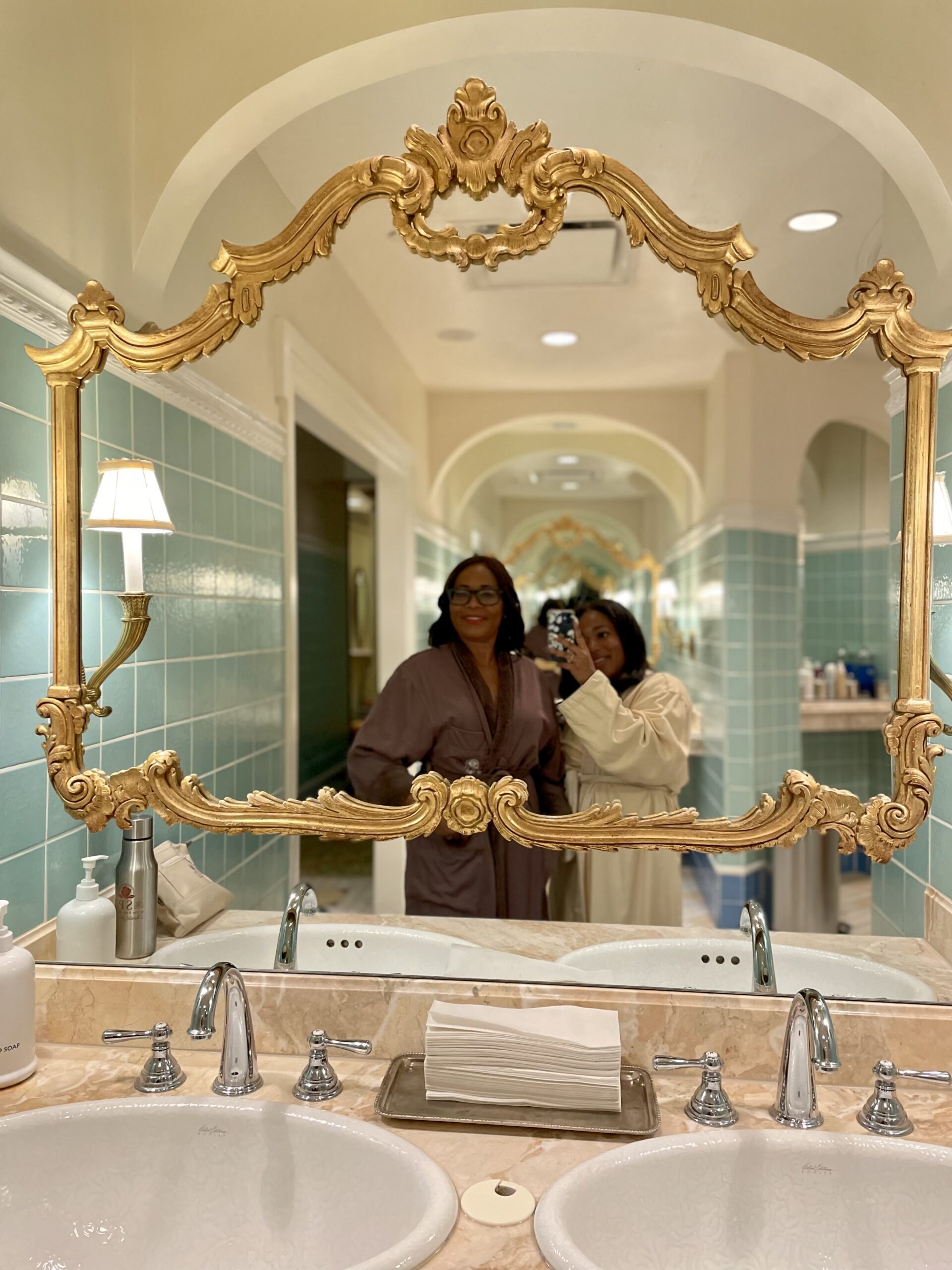 The Spa at the Hotel Hershey Bathroom Mirror Selfie