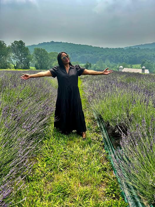 The lavender fields in bloom at Warwick Furnace Farms