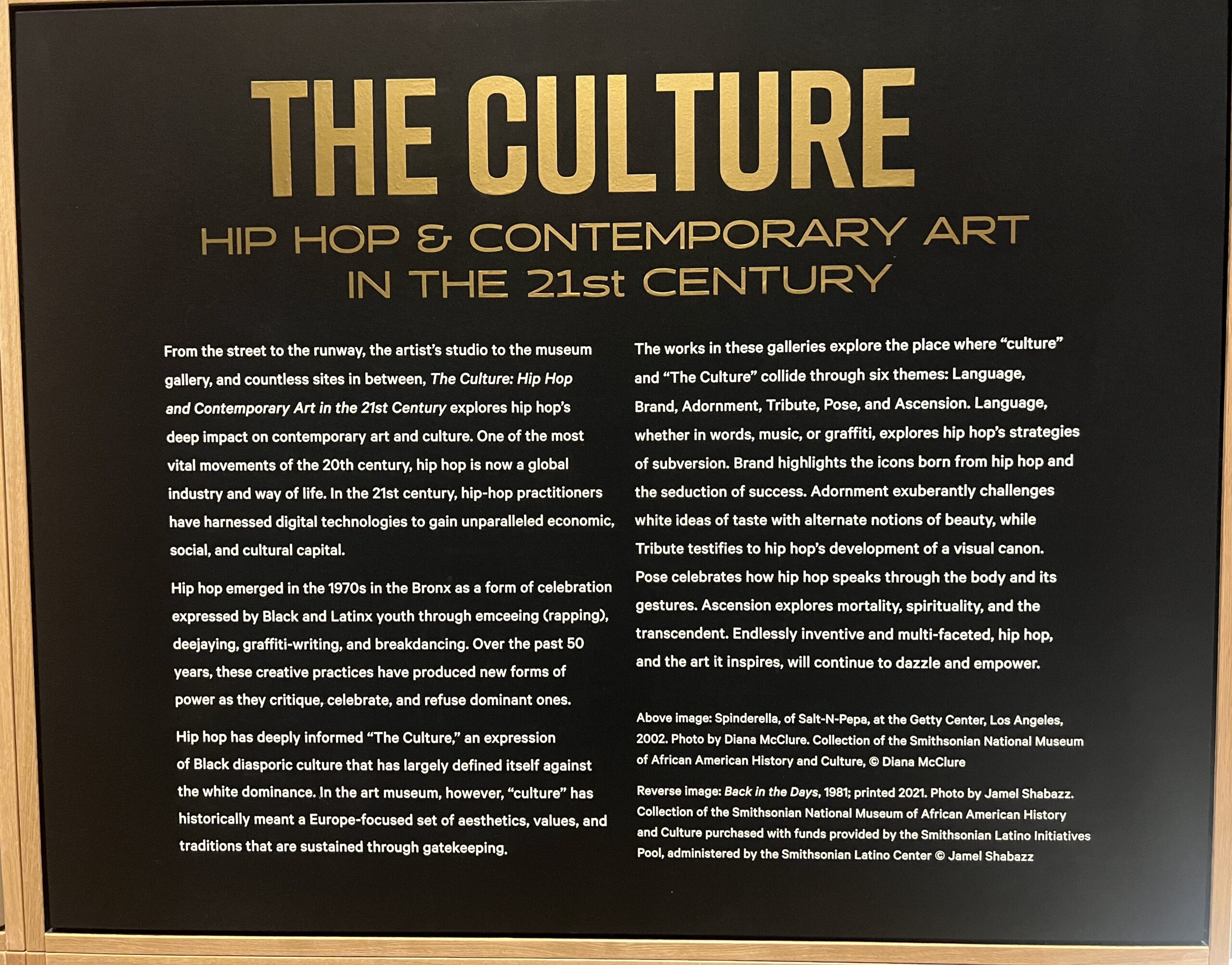 Baltimore Museum of Art The Culture: Hip-Hop & Contemporary Art in the 21st Century