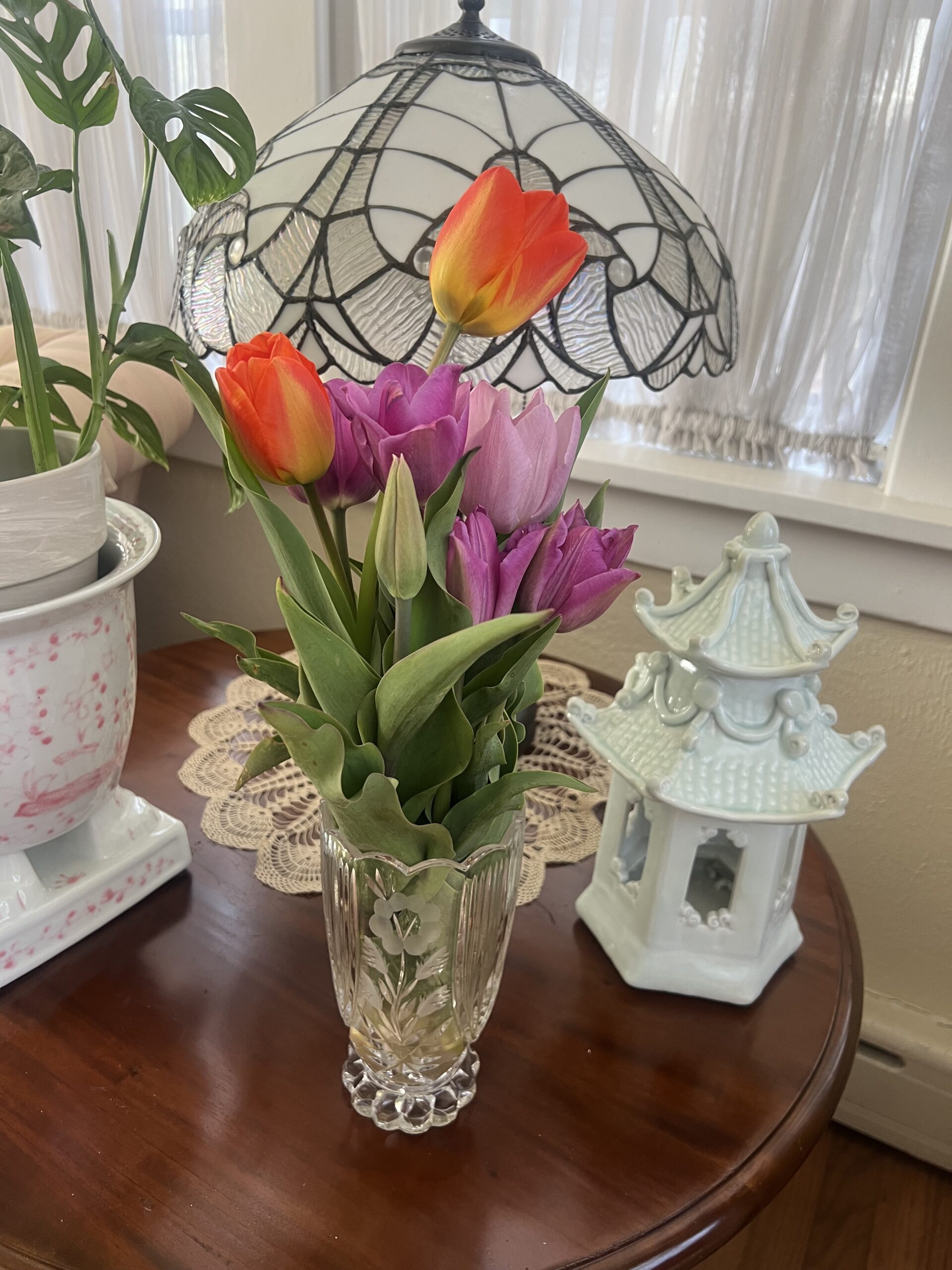 My U-Pick Tulips from Holland Ridge Farm