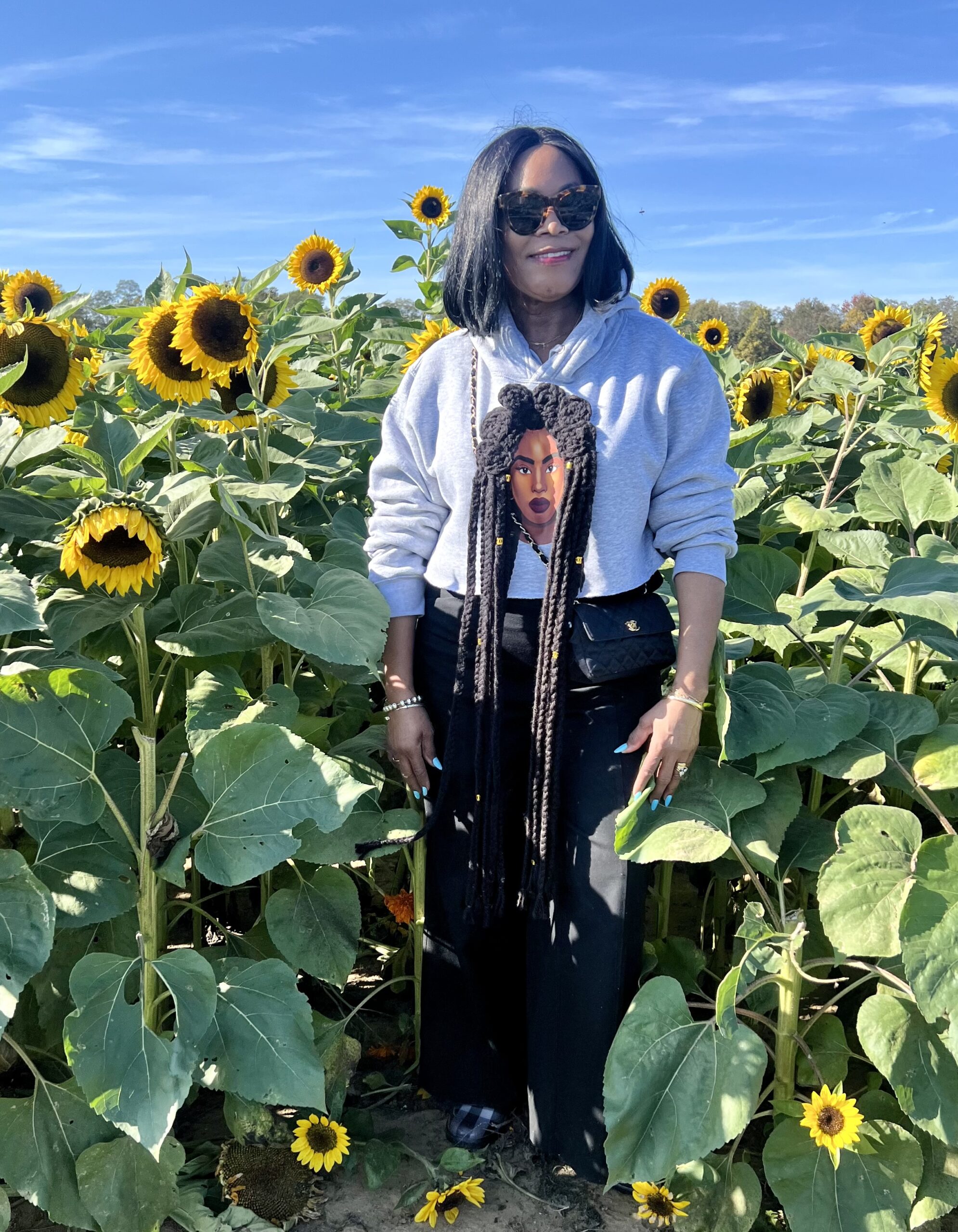 Fall flowers including Sunflowers at Holland Ridge Farms