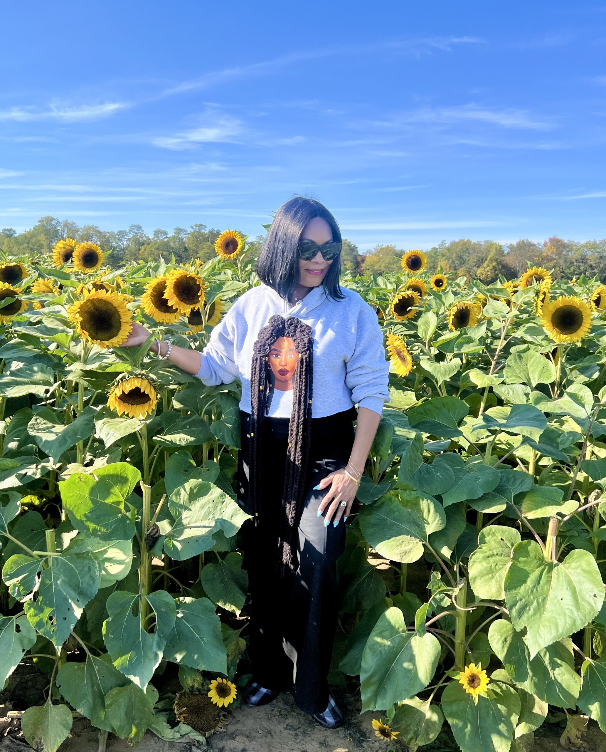 Holland Ridge Farms U-Pick Fall Flowers