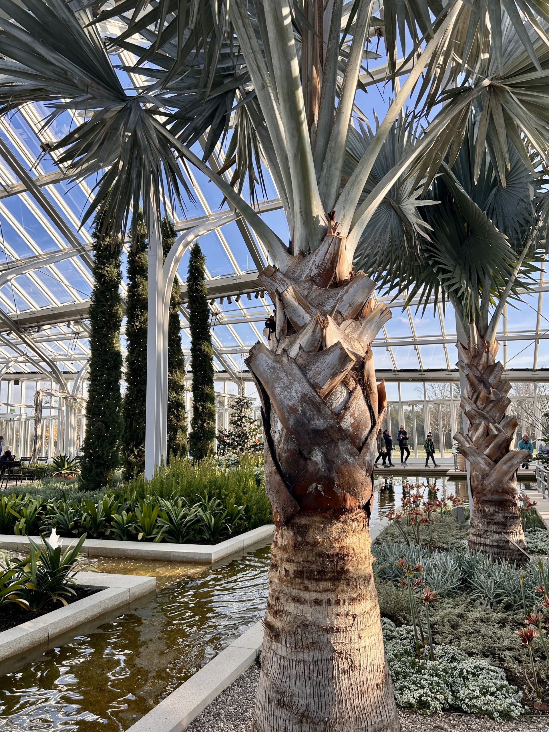 The new west Conservatory at Longwood Gardens