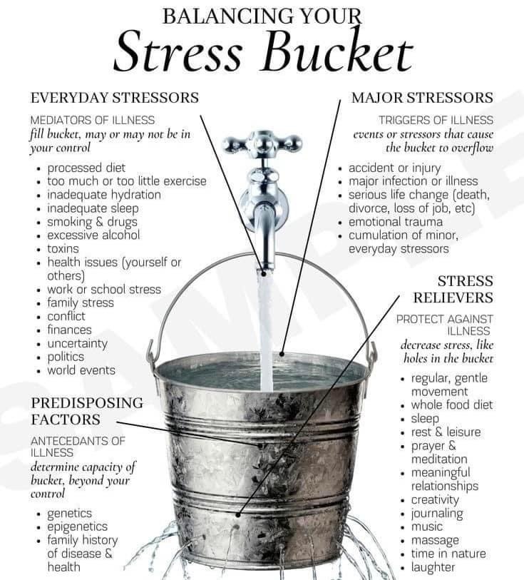 Managing Your Stress Bucket