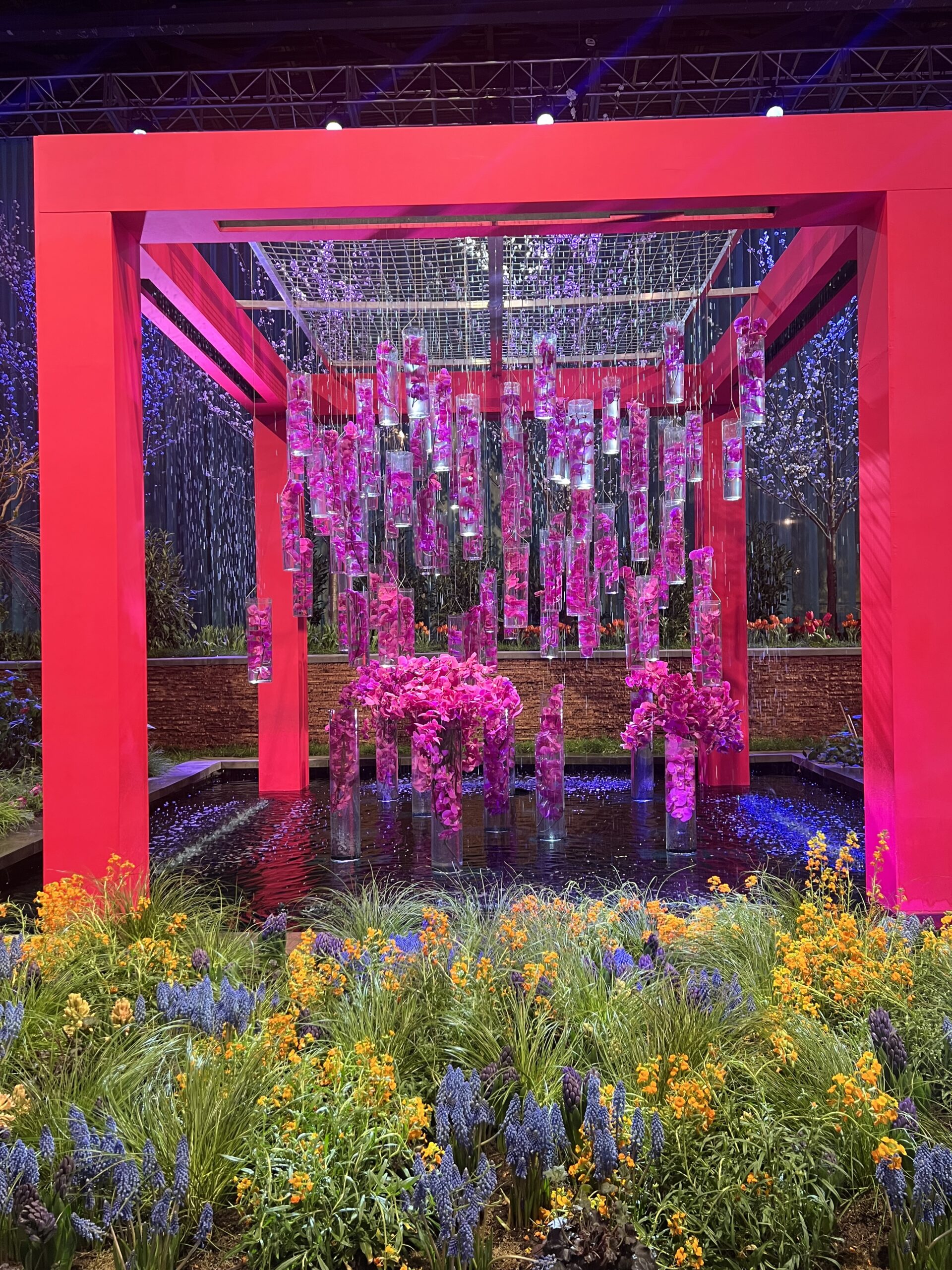 Did You Experience the 2025 Philly Flower Show: Gardens of Tomorrow?