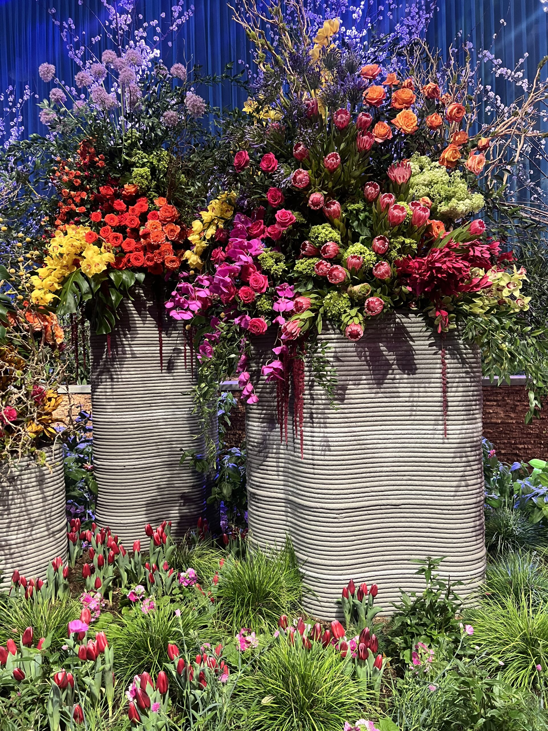 Futura Florentia at the main entry of the 2025 Philly Flower Show, a breathtaking beauty!